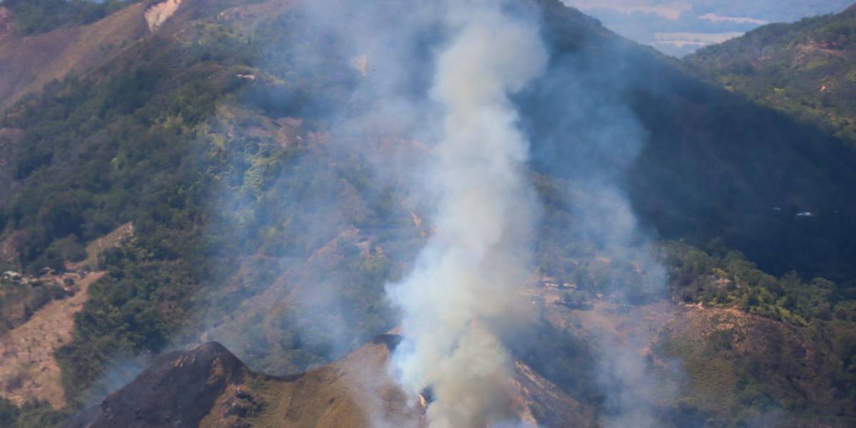 Colombia lucha con 31 incendios que arrasan más de 10 000 hectáreas de bosque