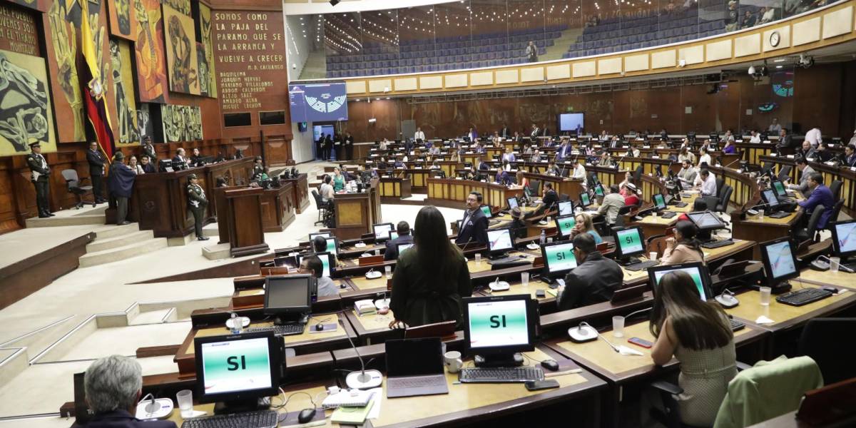 Caso Pamela Ati | Cinco mujeres asambleístas investigarán el femicidio