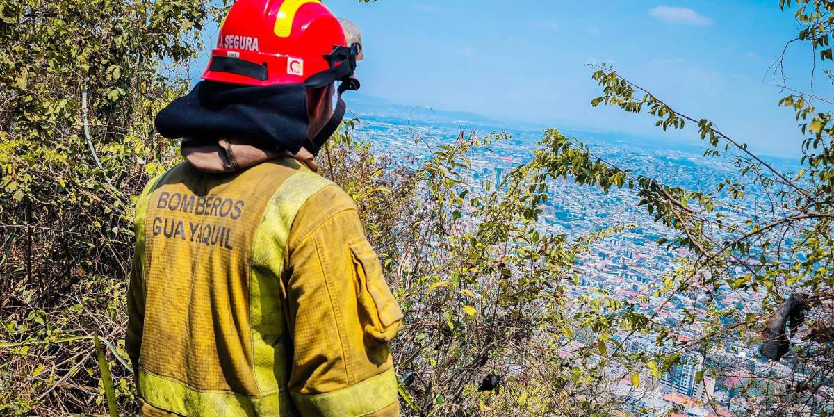 El Ministerio de Educación dispone clases virtuales en 295 escuelas por 48 horas más por incendio forestal en Guayaquil