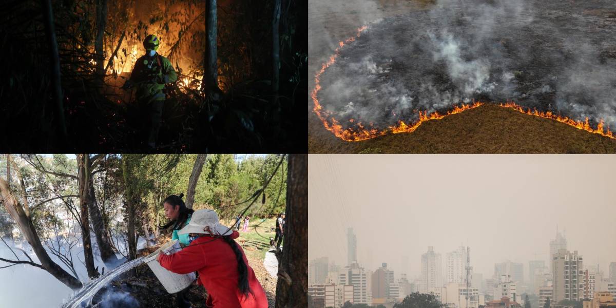 Amnistía Internacional insta a Gobiernos suramericanos a evitar una catástrofe climática ante ola de incendios