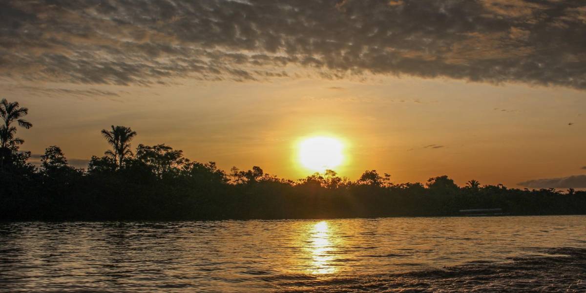 Jóvenes peruanos lanzan campaña para valorar y salvar la Amazonía
