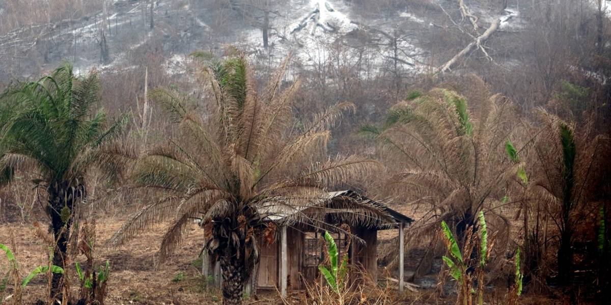 Incendios forestales en Bolivia ponen en riesgo la supervivencia de pueblos indígenas