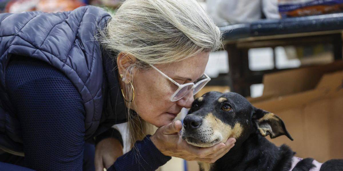 Un antiguo hipermercado se convierte en refugio para las mascotas rescatadas de las inundaciones en Brasil