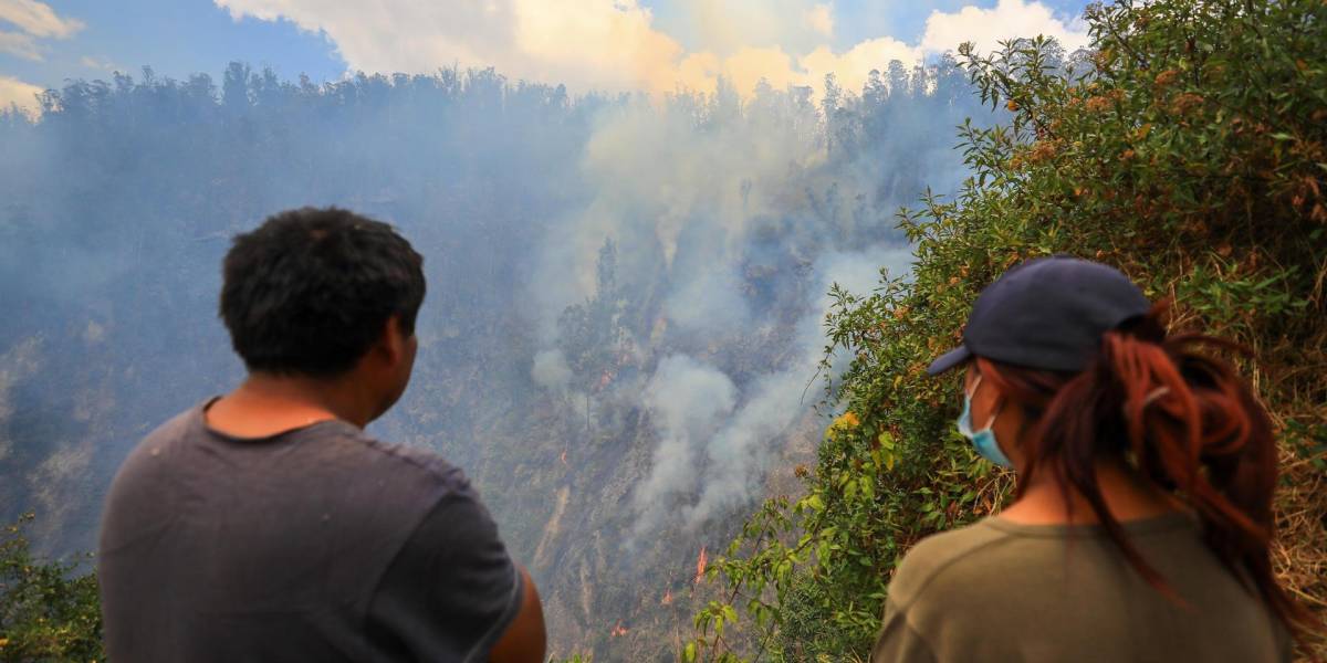 Un proceso de restauración ecológica se implementará en las zonas afectadas por los incendios forestales en Ecuador