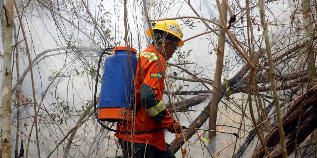 Incendios forestales devastan diversas regiones del mundo en 2024