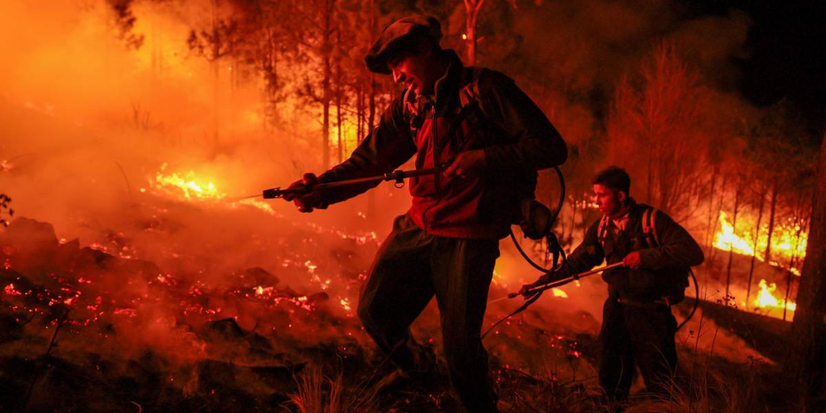 Detenidos por incendios en São Paulo, Brasil, aumentan a 41 en plena crisis climática