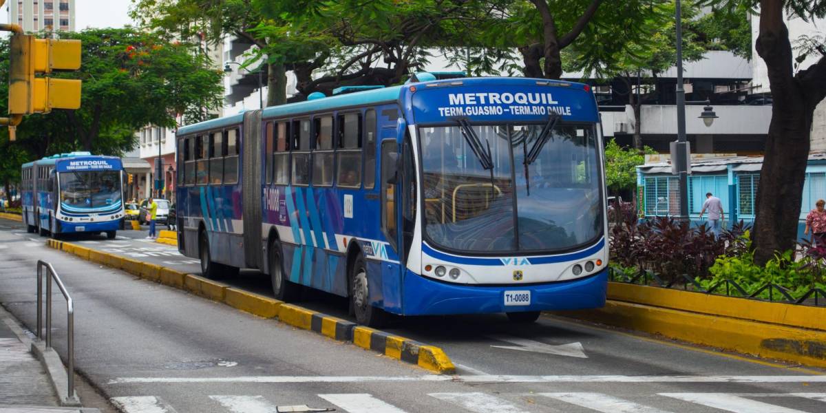 Un conductor de la Metrovía fue detenido tras impactar a un peatón en el sur de Guayaquil