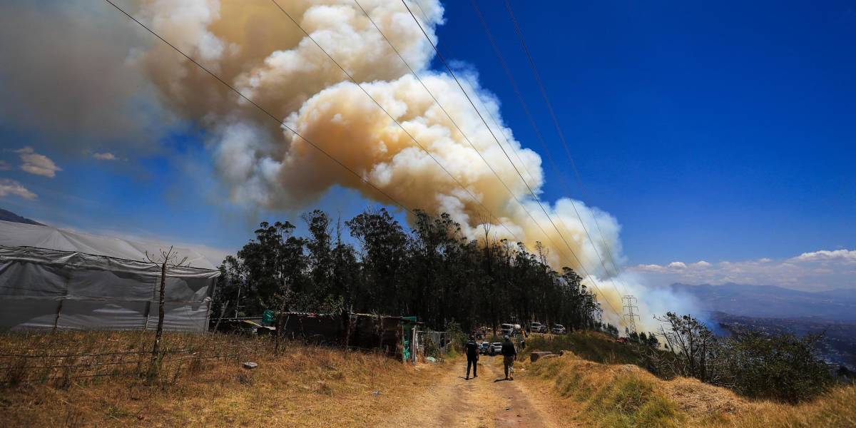 La Unión Europea entrega ayuda humanitaria por USD 59.000 para afectados por incendios en Ecuador