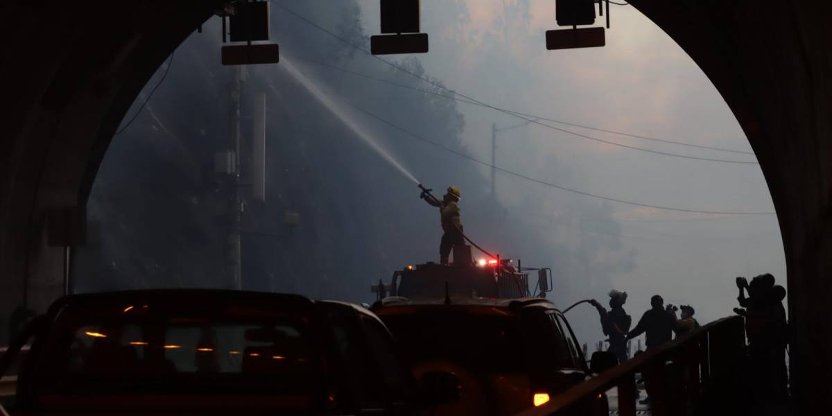 Incendios forestales en Quito | Los empleados del sector público en Quito se acogerán al teletrabajo