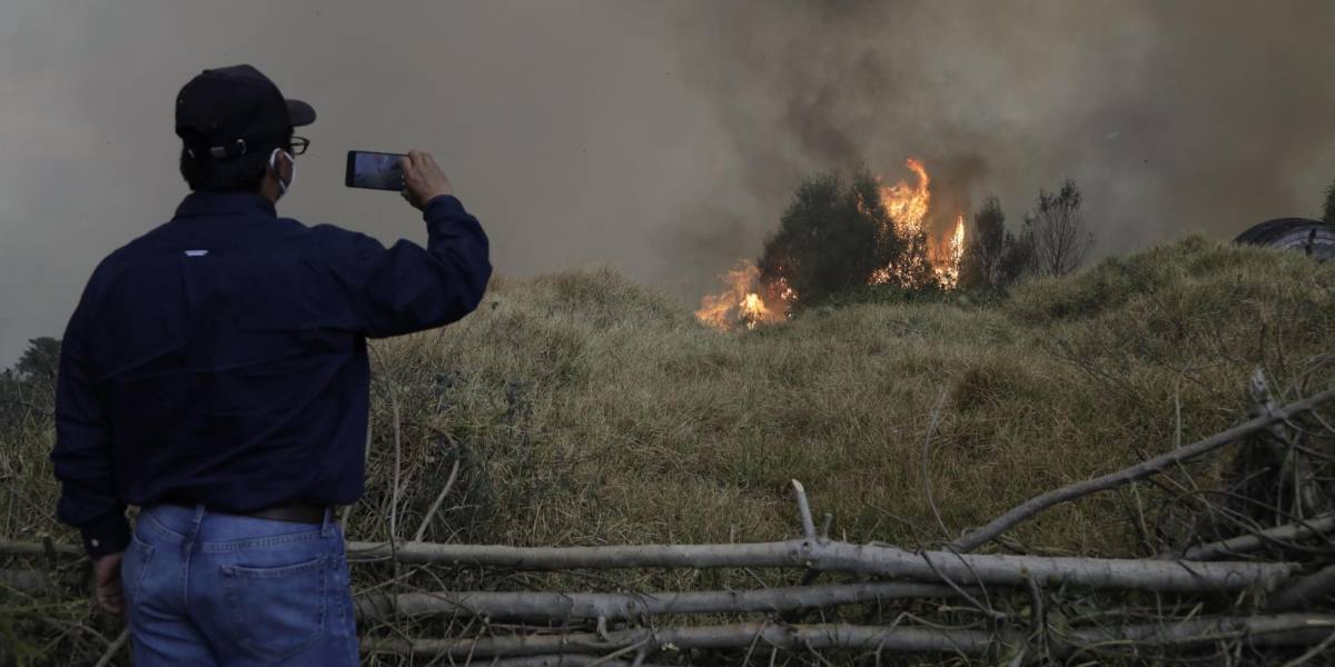 Guía para usar las alertas de incendio de Google en emergencias como el actual fuego en Quito