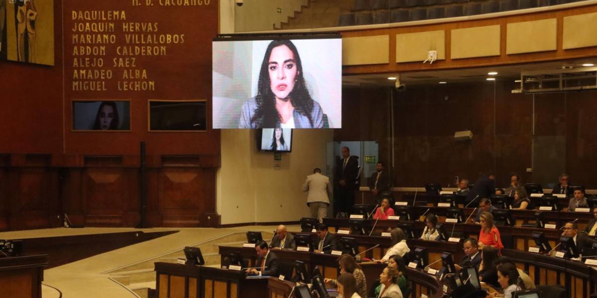 Verónica Abad califica de misógino violento a Daniel Noboa durante comparecencia en la Asamblea