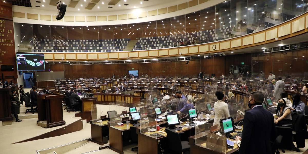 El Pleno de la Asamblea sesionará de manera virtual por daños en vidrios a causa del sismo en Quito