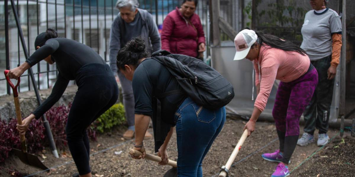 El número de venezolanos en Ecuador desciende a cerca de 445 000