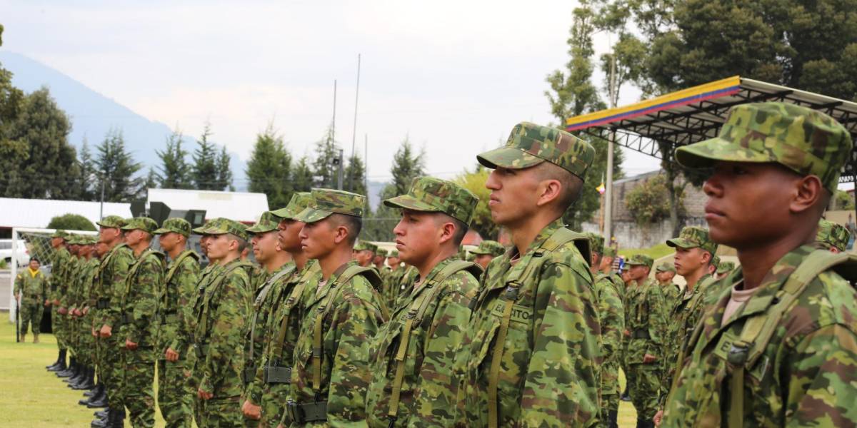 5 000 reservistas se unen a las tareas de las Fuerzas Armadas