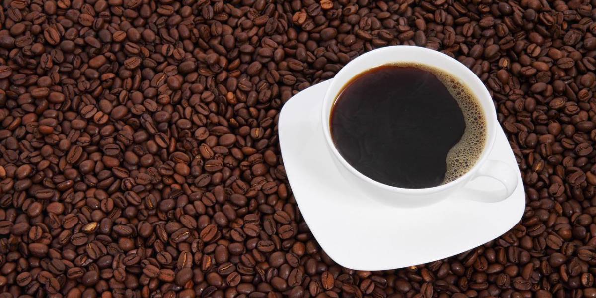 ¿Cómo mantener la calidad y sabor del café?