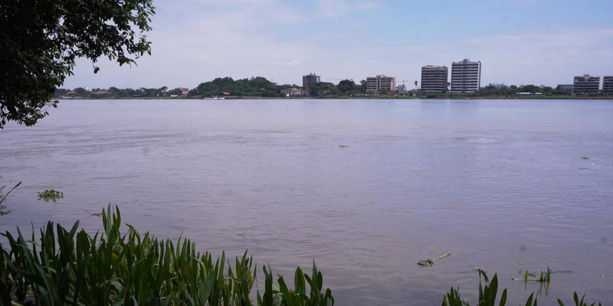 Inés Manzano denunció coliformes fecales en el río Daule hace cuatro años