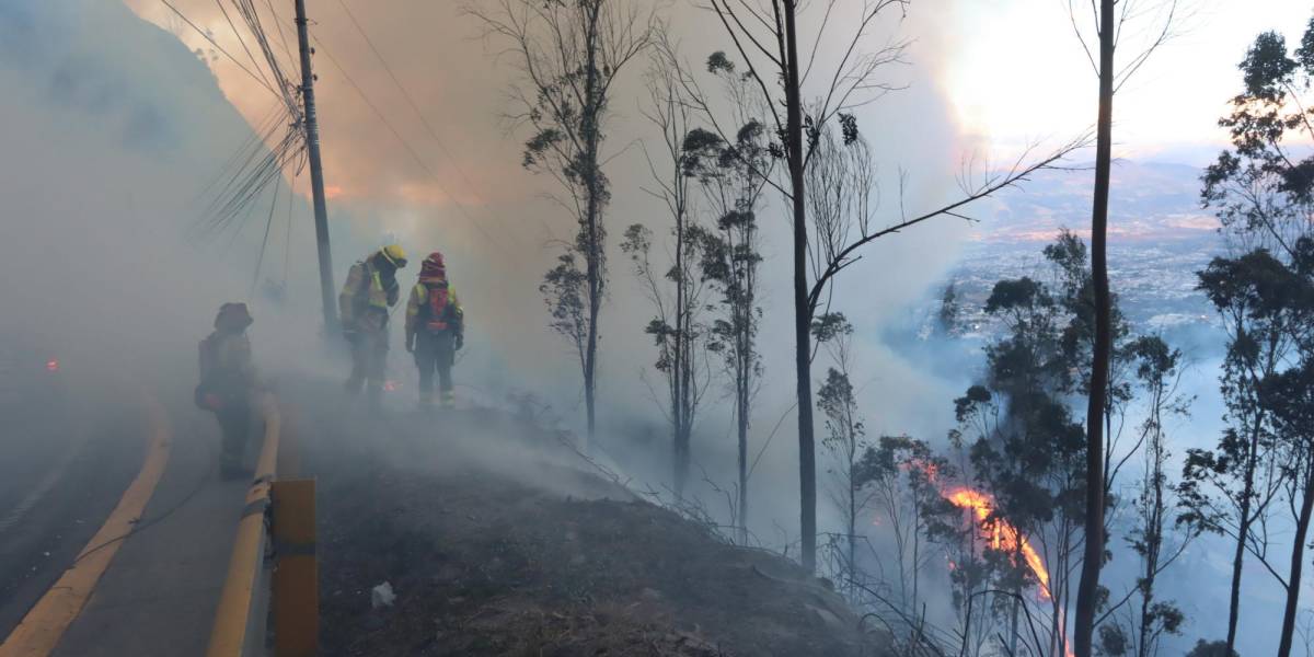 Los incendios en Quito son intencionales, ¿pero se tratan de ataques terroristas?