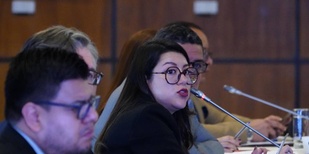 Andrea Arrobo, exministra de Energía, dice que no comparecerá en el juicio político por temor a represalias