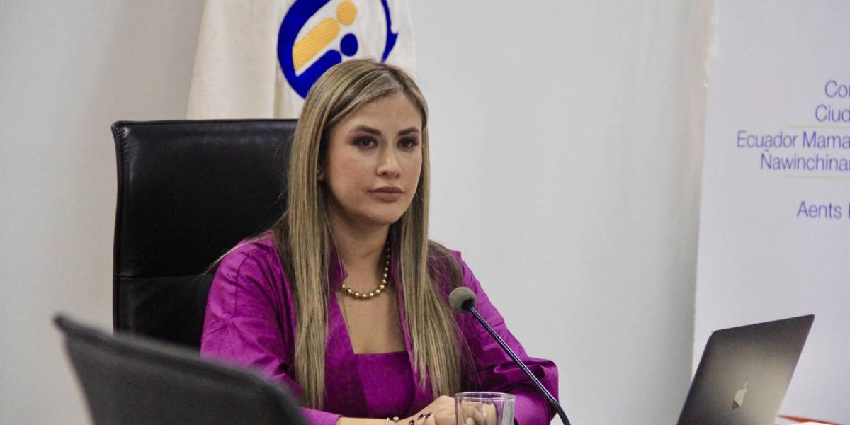 Nicole Bonifaz no regresará a la presidencia del Cpccs; se le negó una acción de protección