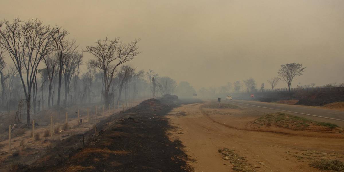 Un extenso manto de humo debido a incendios forestales avanza por Sudamérica