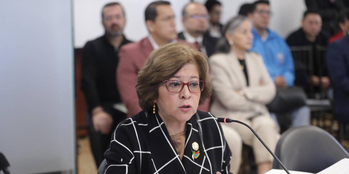 La Asamblea Nacional convoca a Ivonne Nuñez, ministra de Trabajo, por la suspensión de Verónica Abad