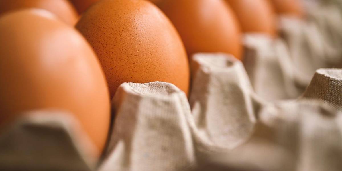 La producción de huevos en Ecuador bajará un 20 % en un mes: ¿Subirá el precio de la cubeta?