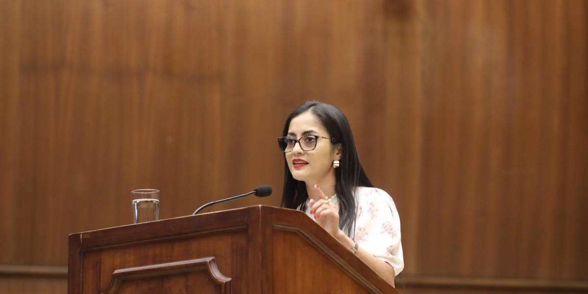 Viviana Veloz convoca sesión presencial urgente de la Asamblea para el segundo debate de ley energética de Noboa