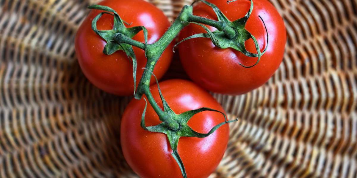 El truco definitivo para que tus tomates duren más en la nevera