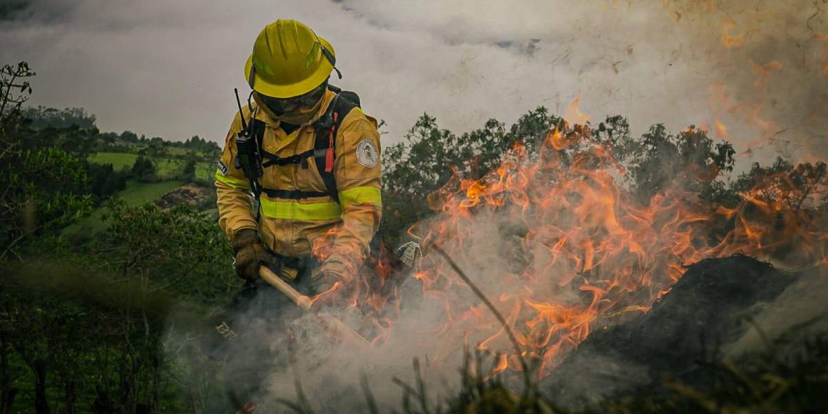 Quito se prepara ante la época de incendios forestales