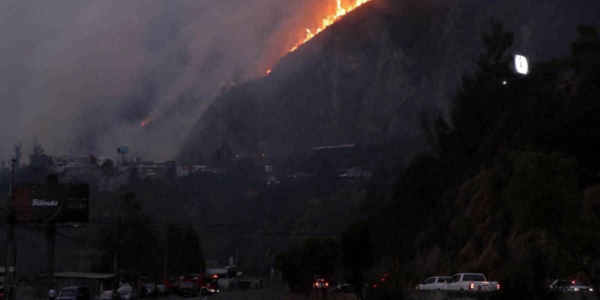 Medidas para prevenir incendios forestales en áreas urbanas y rurales