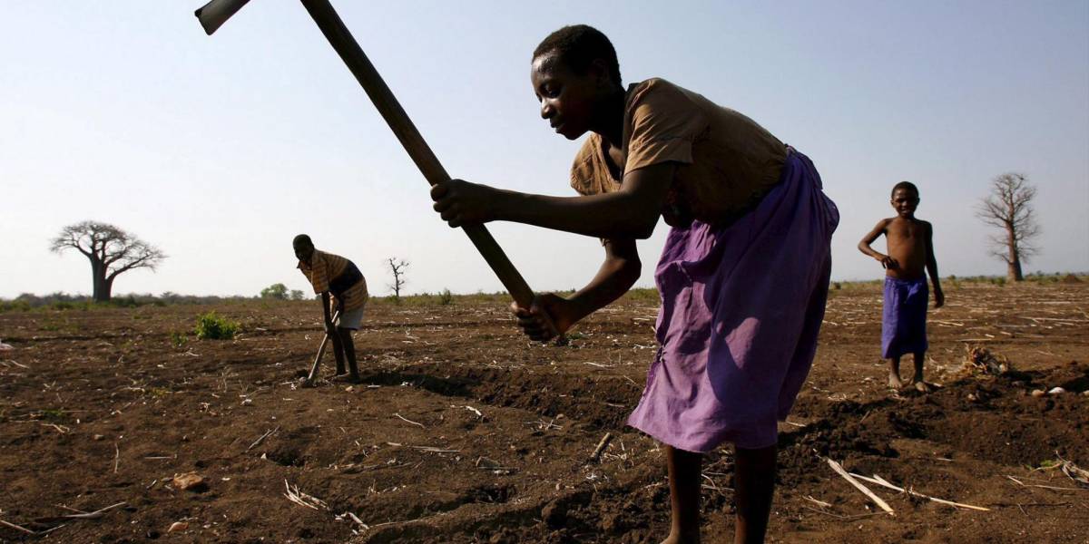 ONU solicita ayuda para millones de afectados por la sequía de El Niño en África