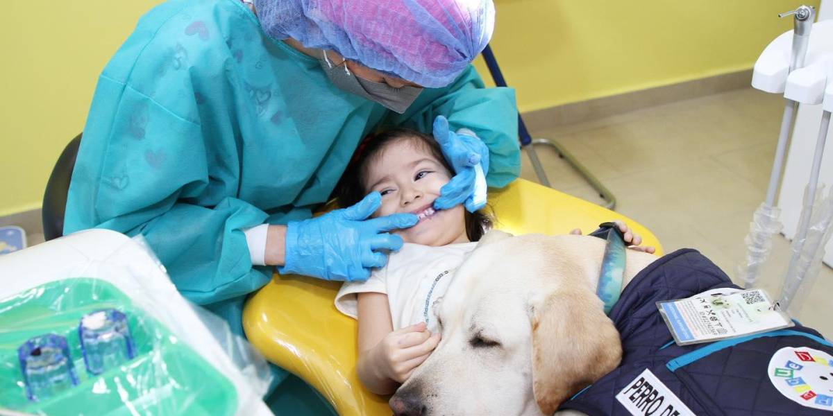 Conozca a Aldo, el perrito ecuatoriano que acompaña a los niños en su visita al dentista