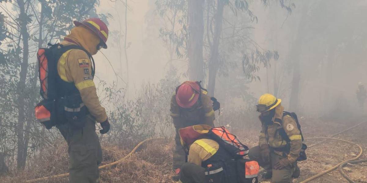 Los bomberos lograron apagar el incendio forestal en Chilibulo; siguen activos los de Pifo y Nayón