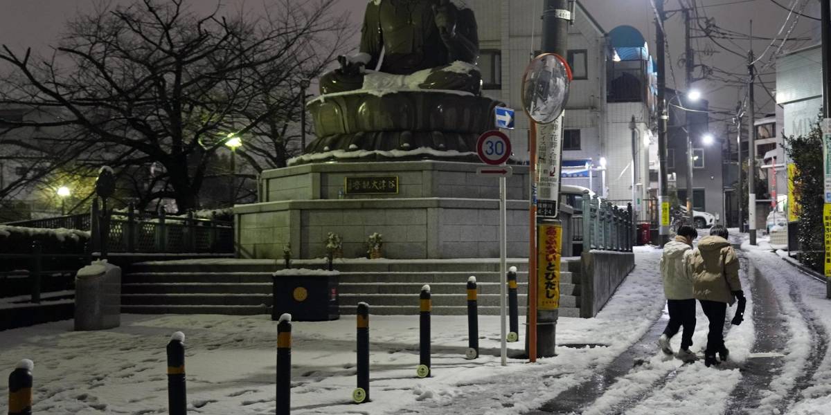 La fuerte nevada en Tokio y el centro de Japón deja viajes cancelados y cortes eléctricos