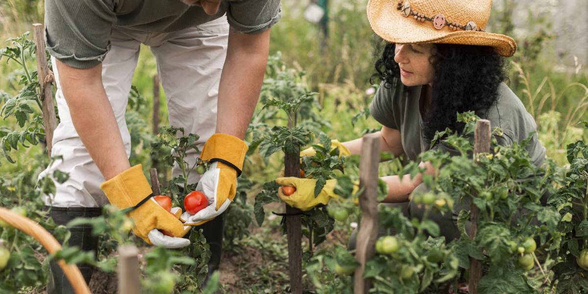 Ecuador enviará 146 trabajadores temporales a España bajo el programa de migración circular