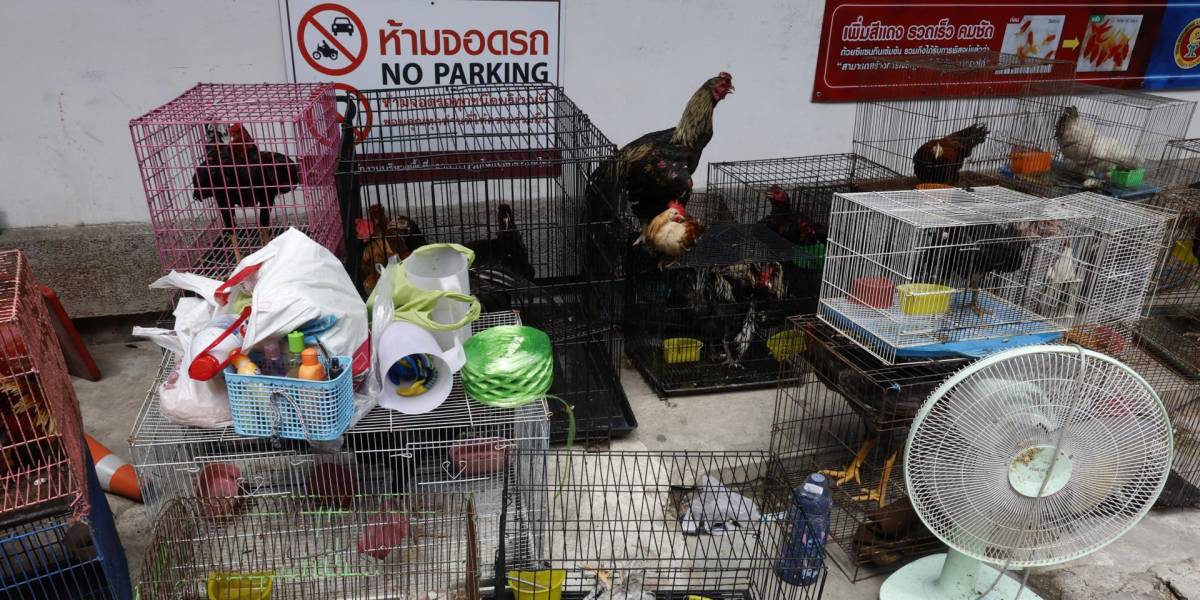 Cientos de animales mueren tras un incendio en el mercado callejero de mascotas en Bangkok