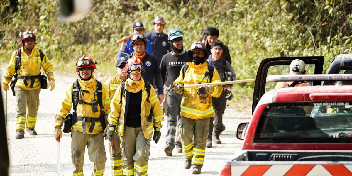 Los bomberos en Azuay y Loja trabajan sin descanso por los incendios forestales; más emergencias se suman en otras provincias