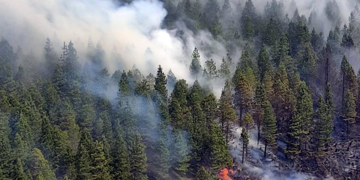 Cuenca pide apoyo de voluntarios y adopta otras medidas para enfrentar el incendio forestal en El Cajas