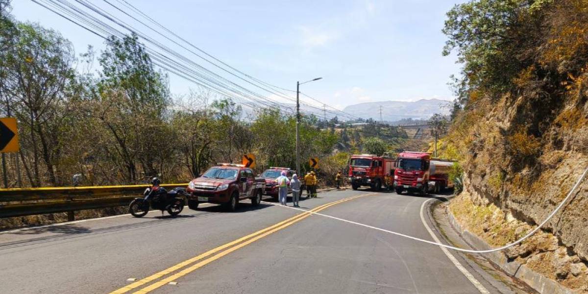 Los incendios forestales en Tumbaco y Mena del Hierro fueron controlados