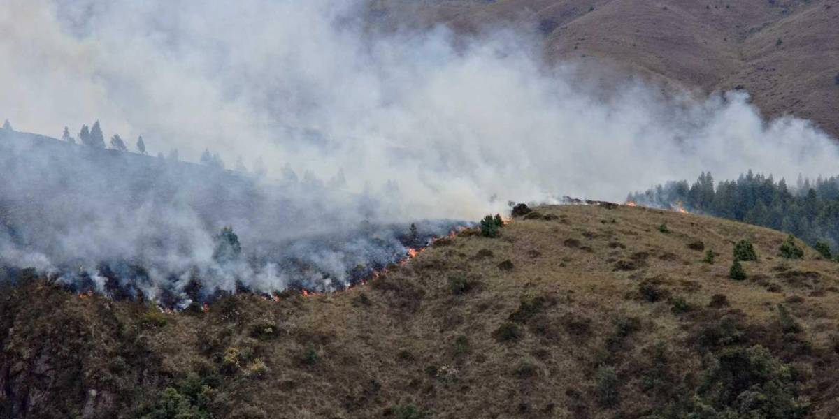 ¿Cuáles son las causas de los incendios forestales en Ecuador?