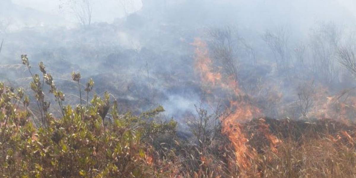 Quito | Un incendio forestal se registra en el cerro Ilaló