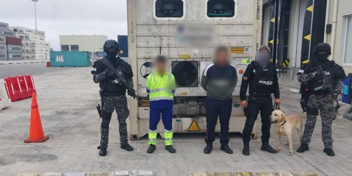 Más de 500 mil dosis de droga con destino a Bélgica se decomisaron en Guayaquil