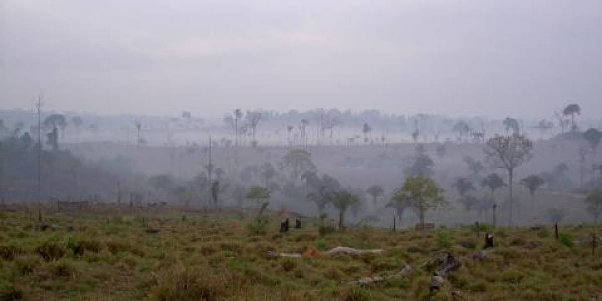 Las condiciones de lluvia se mantendrán en la Amazonía en los próximos días