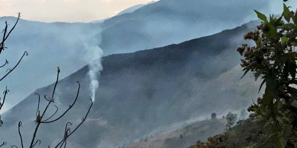 Ya van 18 500 hectáreas de bosques afectadas en noviembre por los incendios en Loja y Azuay