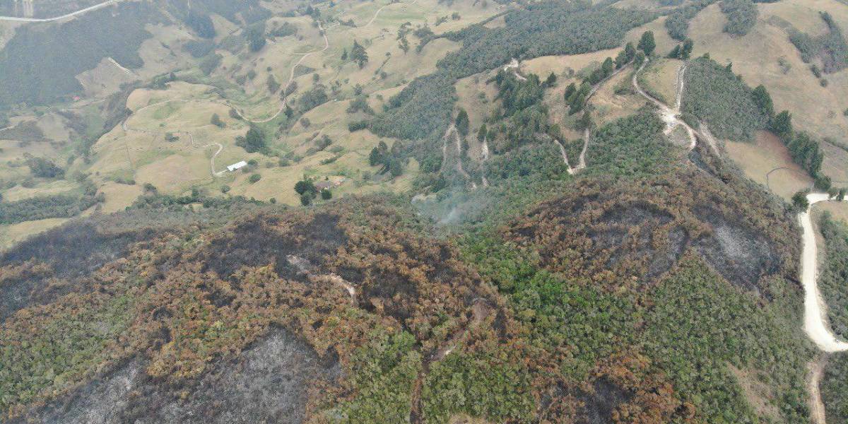 Ecuador no tiene incendios forestales activos, pero aún hay cinco eventos bajo supervisión