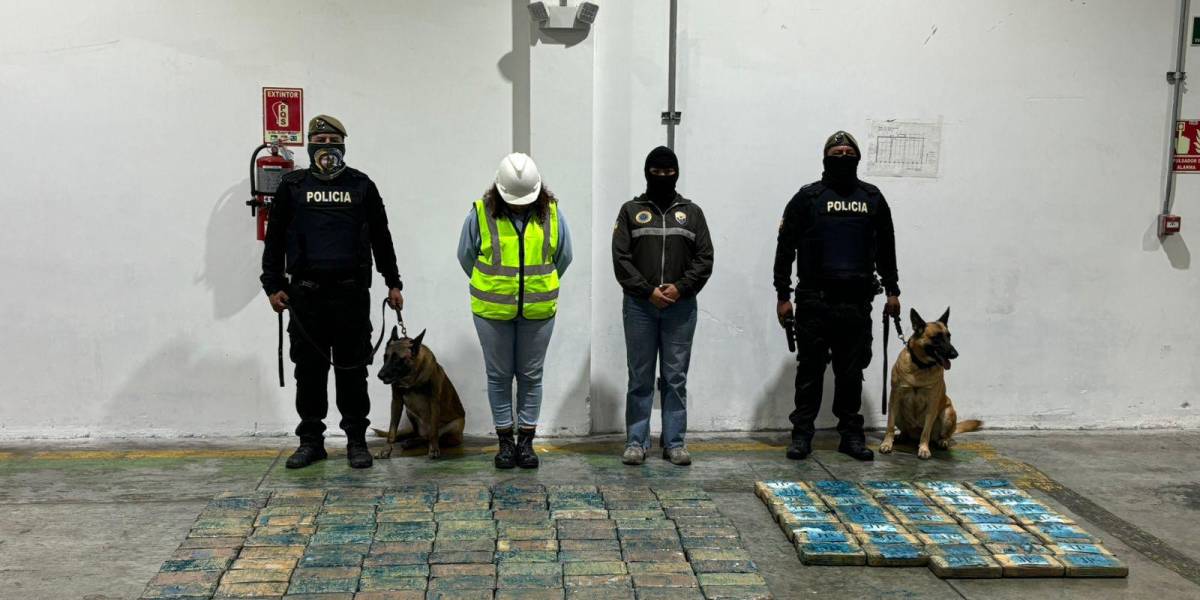 200 bloques de droga estaban camuflados en un contenedor que transportaba banano y tenía como destino a Bélgica