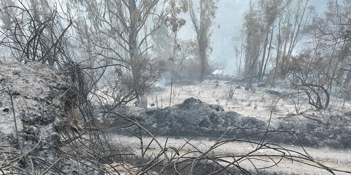 Quito: el incendio en el cerro Auqui sigue activo al amanecer de este 25 de septiembre