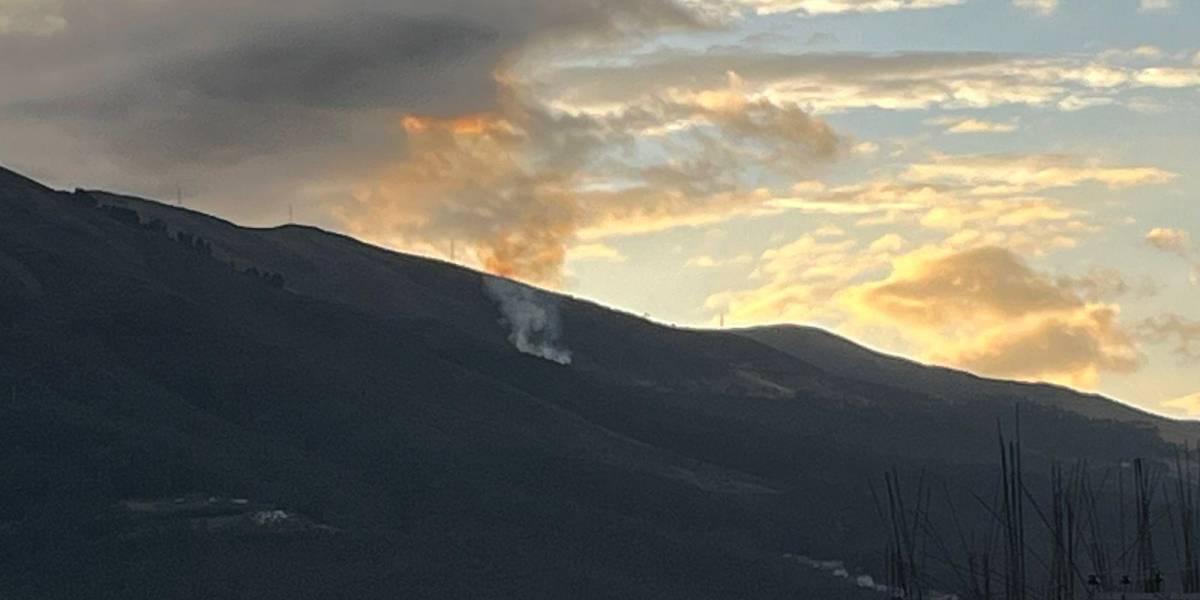 Quito: los bomberos lograron controlar el incendio forestal en La Pulida