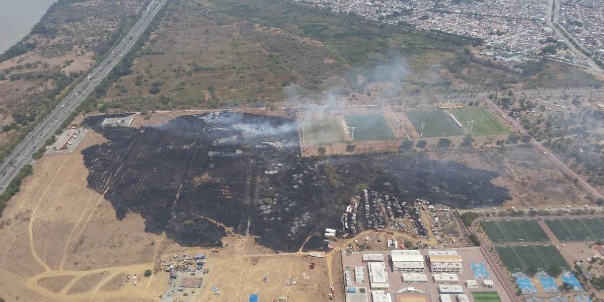 30 vehículos de Inmobiliar y 18 hectáreas quemadas por el incendio en Parque Samanes