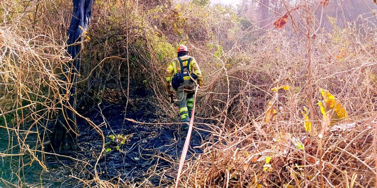 Nuevo incendio en Guayaquil: bomberos atienden emergencia en el kilómetro 22.5 de Vía a Daule